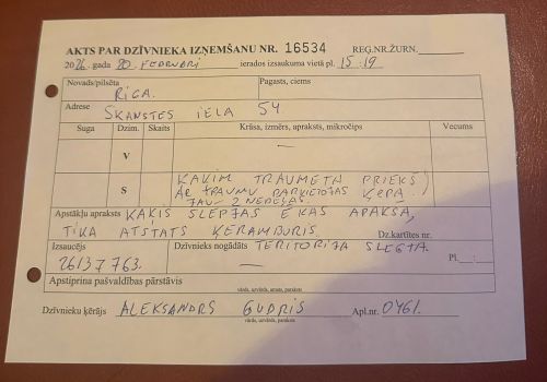 Bezšķirnes - attēls